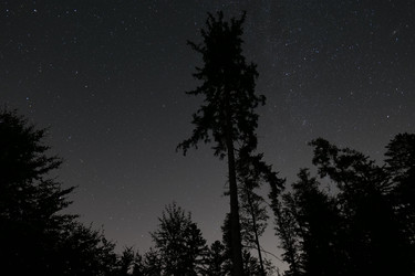 Similar image 22600214