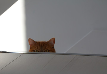 Similar image 22597007