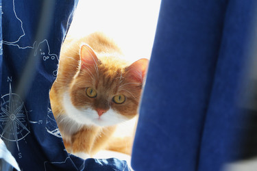 Similar image 22597022