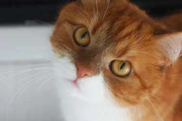 Similar image 22597023