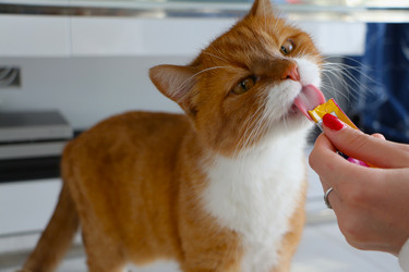 Similar image 22597024