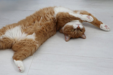 Similar image 22597025