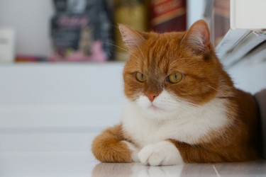 Similar image 22597026