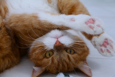 Similar image 22597028