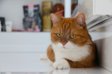 Similar image 22597037