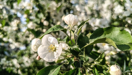 Similar image 22608633