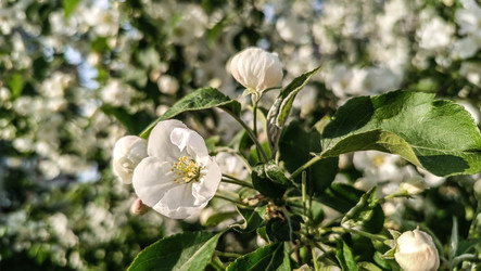 Similar image 22608634