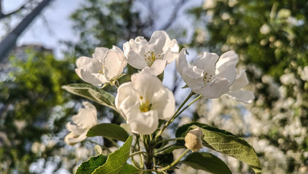 Similar image 22608635