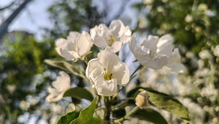 Similar image 22608636