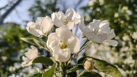 Similar image 22608637