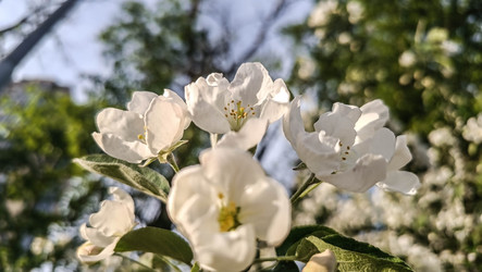 Similar image 22608638