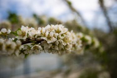 Similar image 22608646