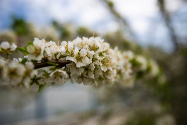 Similar image 22608647