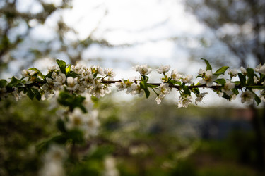 Similar image 22608654