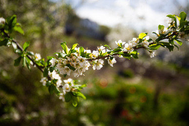 Similar image 22608655