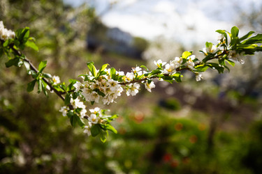 Similar image 22608656