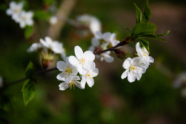 Similar image 22608657