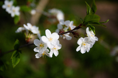 Similar image 22608658