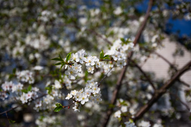 Similar image 22608659