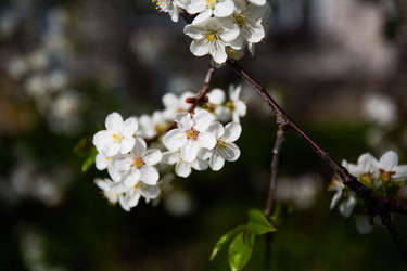 Similar image 22608660