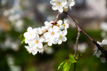 Similar image 22608661