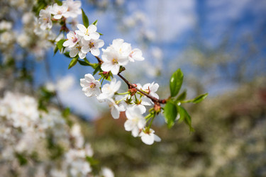 Similar image 22608662