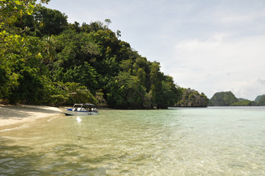 Similar image 22627968