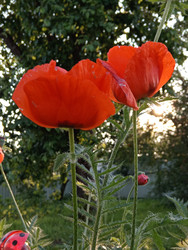 Similar image 22594891