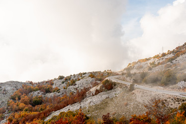 Similar image 22601601