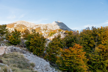 Similar image 22620949