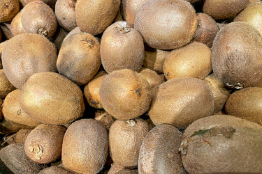 Similar image 22633574