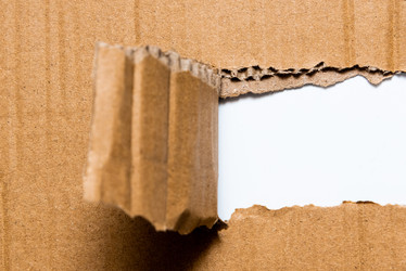 Similar image 22601437