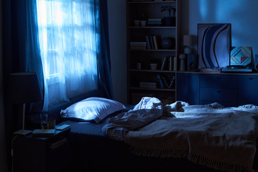 Similar image 22616373