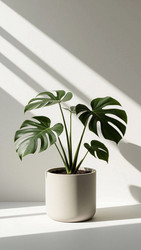 Similar image 22638321