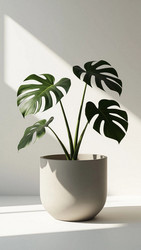 Similar image 22638327