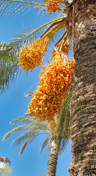 Similar image 22638340