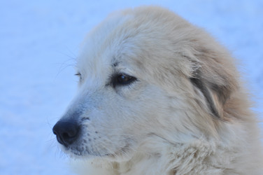 Similar image 22610892