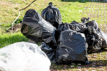 Similar image 22596862