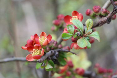 Similar image 22600215