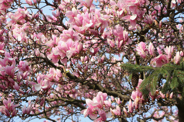 Similar image 22600216