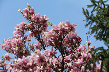 Similar image 22600217