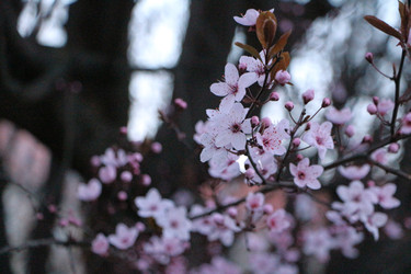 Similar image 22600218