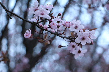 Similar image 22600219