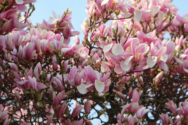 Similar image 22597029