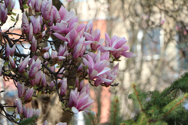 Similar image 22597030