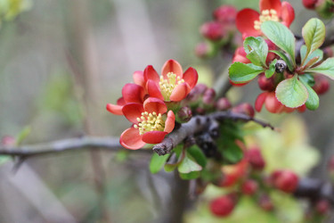 Similar image 22597031