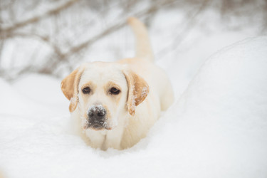 Similar image 22632336