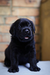 Similar image 22632337