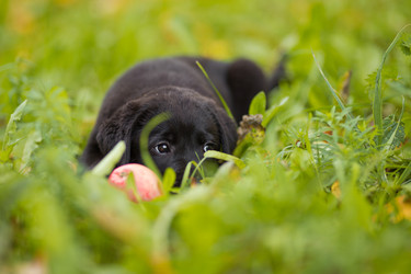 Similar image 22632338