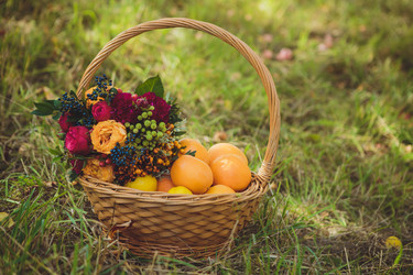 Similar image 22632339